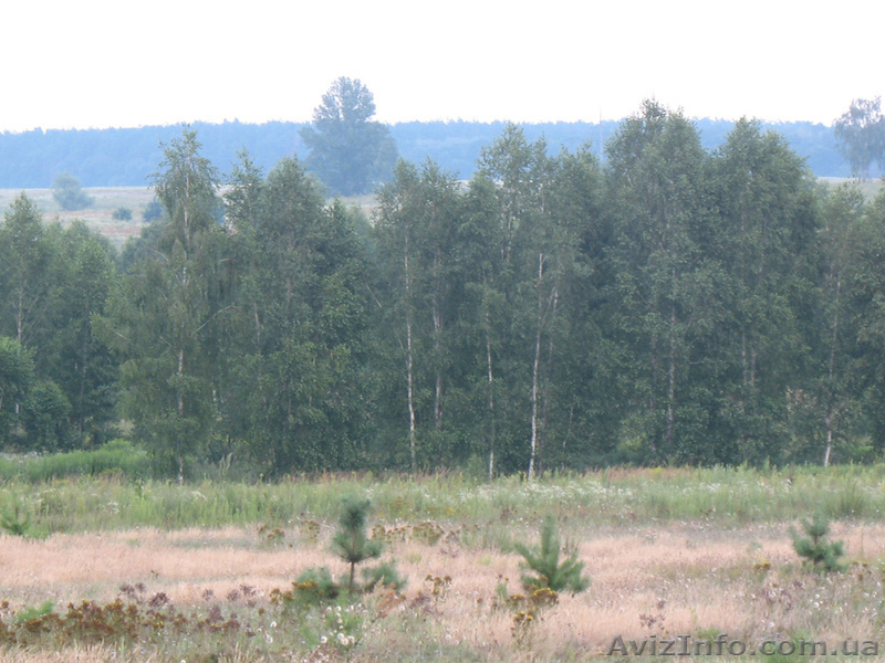 Уникальные земельные участки под застройку - <ro>Изображение</ro><ru>Изображение</ru> #4, <ru>Объявление</ru> #610110