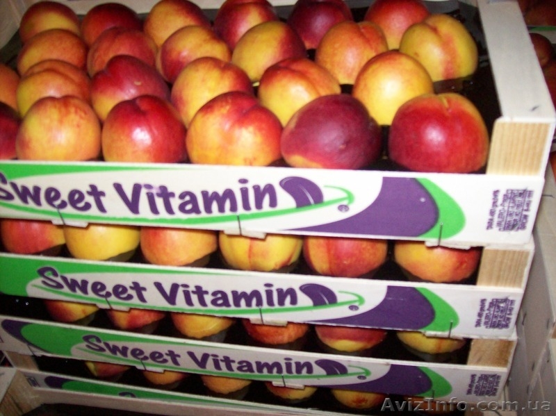 Frukti v Ispanii! Lleida. Kostochkovie frukti. - <ro>Изображение</ro><ru>Изображение</ru> #1, <ru>Объявление</ru> #608281