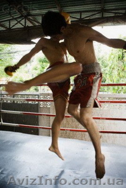 Тайский бокс Муай тай Крещатик, Левобережная, Минская - <ro>Изображение</ro><ru>Изображение</ru> #5, <ru>Объявление</ru> #615531