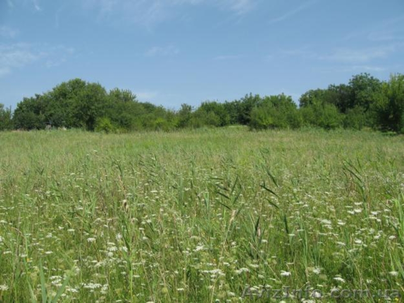 с.Степок Обуховского р-на - <ro>Изображение</ro><ru>Изображение</ru> #1, <ru>Объявление</ru> #614604