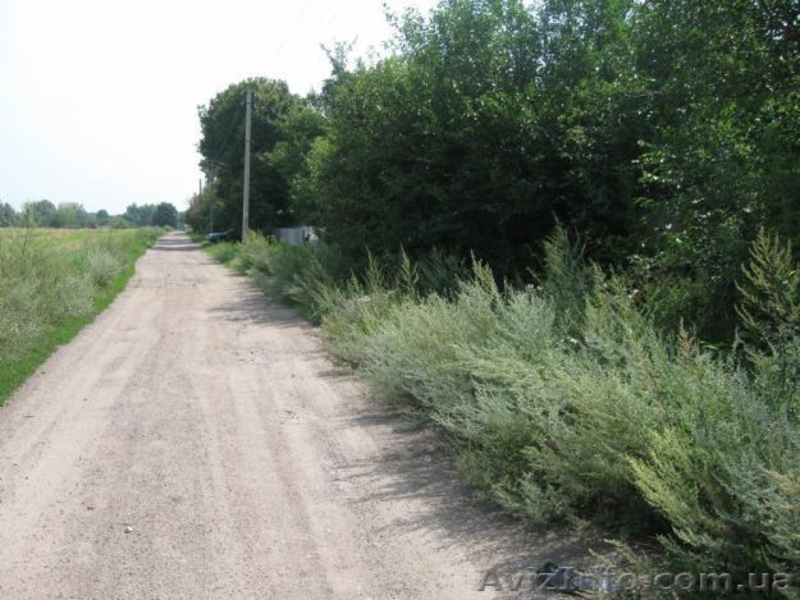 с.Степок Обуховского р-на - <ro>Изображение</ro><ru>Изображение</ru> #2, <ru>Объявление</ru> #614604