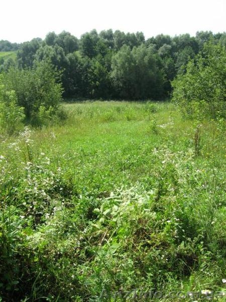 с.Степок Обуховского р-на - <ro>Изображение</ro><ru>Изображение</ru> #3, <ru>Объявление</ru> #614604