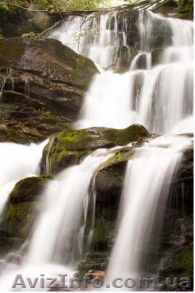 Отдых в Закарпатье - <ro>Изображение</ro><ru>Изображение</ru> #1, <ru>Объявление</ru> #624413