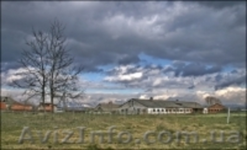 Отдых в Закарпатье - <ro>Изображение</ro><ru>Изображение</ru> #5, <ru>Объявление</ru> #624413