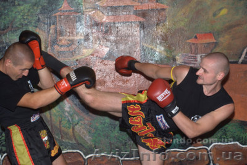 Тайский бокс Муай тай Крещатик, Левобережная, Минская - <ro>Изображение</ro><ru>Изображение</ru> #3, <ru>Объявление</ru> #615531