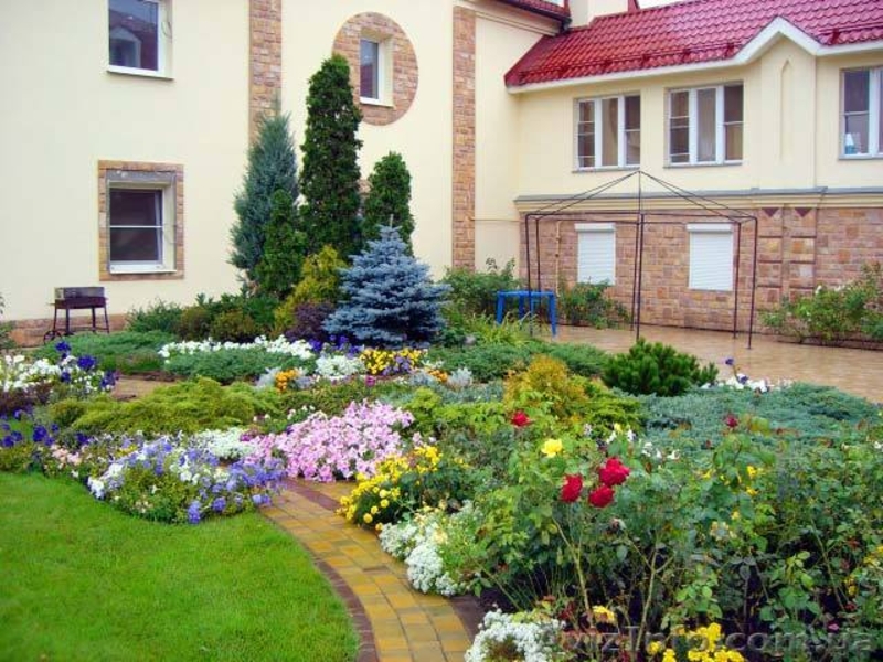 Озеленение всего - <ro>Изображение</ro><ru>Изображение</ru> #4, <ru>Объявление</ru> #615392