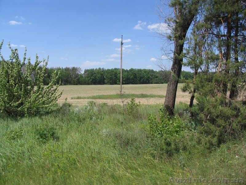 Киевская обл.Макаровский р-н.Лишня. - <ro>Изображение</ro><ru>Изображение</ru> #3, <ru>Объявление</ru> #341174