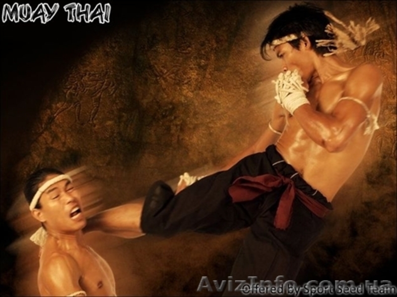 Тайский бокс Муай тай Крещатик, Левобережная, Минская - <ro>Изображение</ro><ru>Изображение</ru> #8, <ru>Объявление</ru> #615531