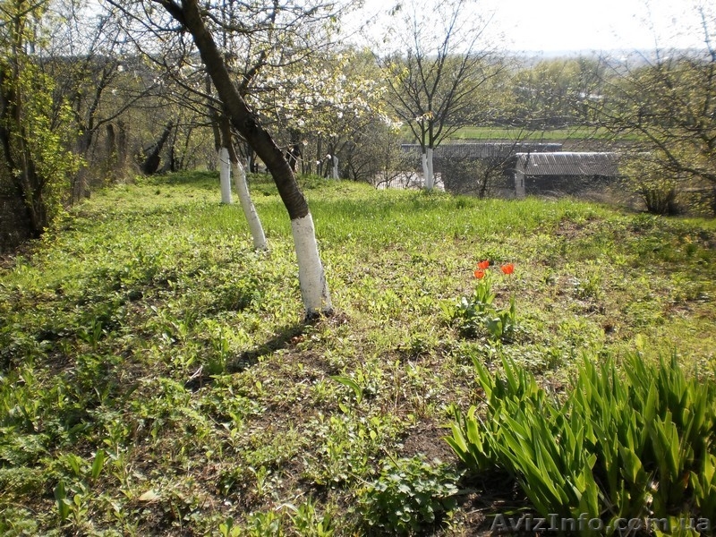 Продам старый дом на 17,5 сот в Белогородке - <ro>Изображение</ro><ru>Изображение</ru> #1, <ru>Объявление</ru> #639332