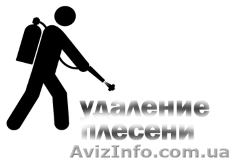 Удаление грибка и плесени со стен,потолка,в ванной,кухне,бассейне,яхте - <ro>Изображение</ro><ru>Изображение</ru> #3, <ru>Объявление</ru> #634747