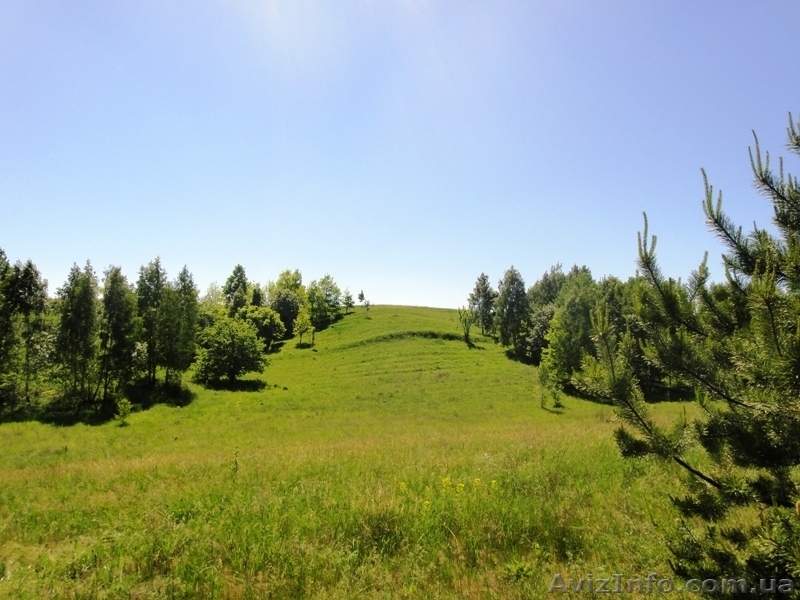 Продам земельный участок в Подгорцах от 12 соток до 36 - <ro>Изображение</ro><ru>Изображение</ru> #3, <ru>Объявление</ru> #649488