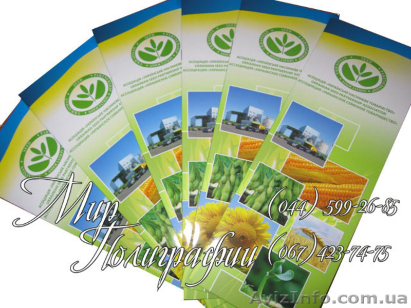 Макетирование и печать евро-флаеров - <ro>Изображение</ro><ru>Изображение</ru> #7, <ru>Объявление</ru> #483522