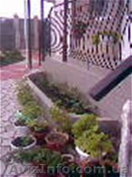 Отдых в Крыму! Недорого!!! - <ro>Изображение</ro><ru>Изображение</ru> #3, <ru>Объявление</ru> #560795