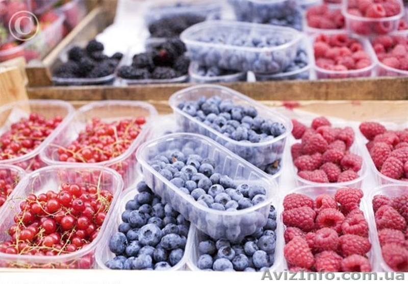 Малина свежая оптом от производителя - <ro>Изображение</ro><ru>Изображение</ru> #2, <ru>Объявление</ru> #643280