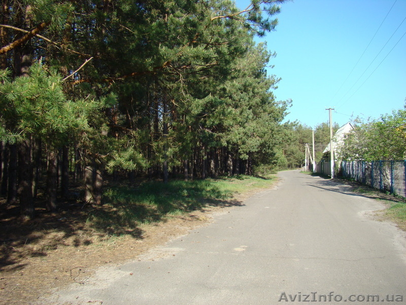 Продпм дачу! Бородянский район с. Шибене - <ro>Изображение</ro><ru>Изображение</ru> #7, <ru>Объявление</ru> #642088