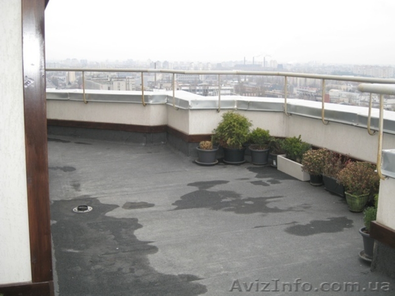 Видовая 3-х  комнатная квартира с большой  собственной терассой 64м - <ro>Изображение</ro><ru>Изображение</ru> #4, <ru>Объявление</ru> #657232