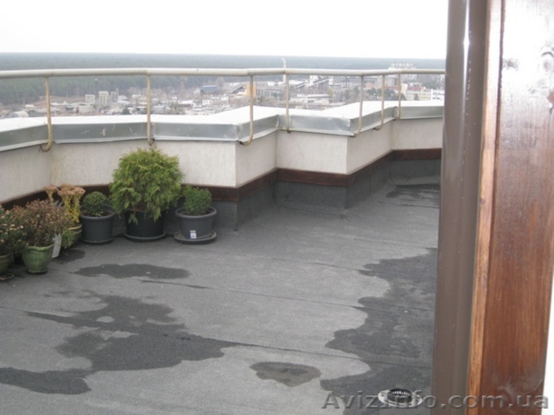 Видовая 3-х  комнатная квартира с большой  собственной терассой 64м - <ro>Изображение</ro><ru>Изображение</ru> #6, <ru>Объявление</ru> #657232