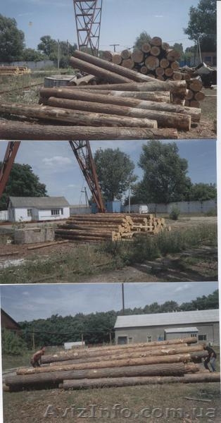 вагонка хвойных и лиственных пород древесины в наличии и под заказ - <ro>Изображение</ro><ru>Изображение</ru> #3, <ru>Объявление</ru> #664371