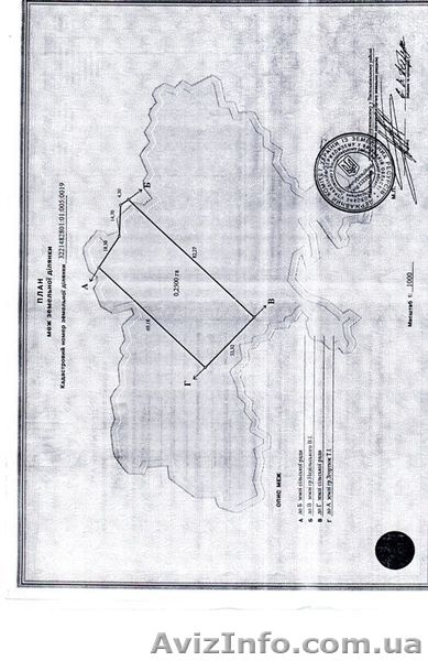 Участок в лесу 25 соток под застройку Васильков - <ro>Изображение</ro><ru>Изображение</ru> #2, <ru>Объявление</ru> #668154