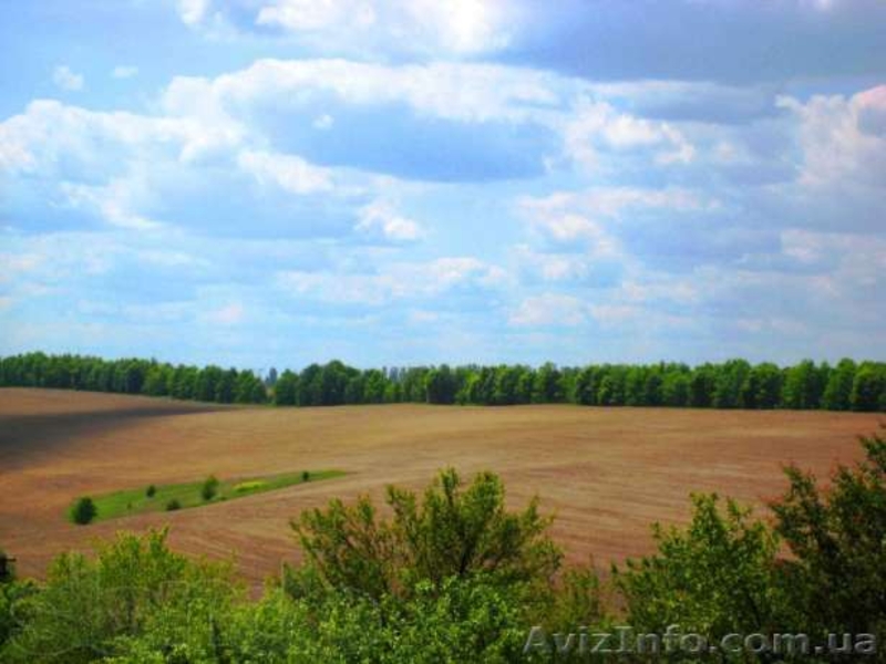 18 соток 45 км.с.Жуковцы,Обухов.р-н  - <ro>Изображение</ro><ru>Изображение</ru> #4, <ru>Объявление</ru> #271503