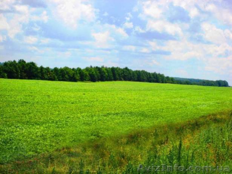 18 соток 45 км.с.Жуковцы,Обухов.р-н  - <ro>Изображение</ro><ru>Изображение</ru> #6, <ru>Объявление</ru> #271503