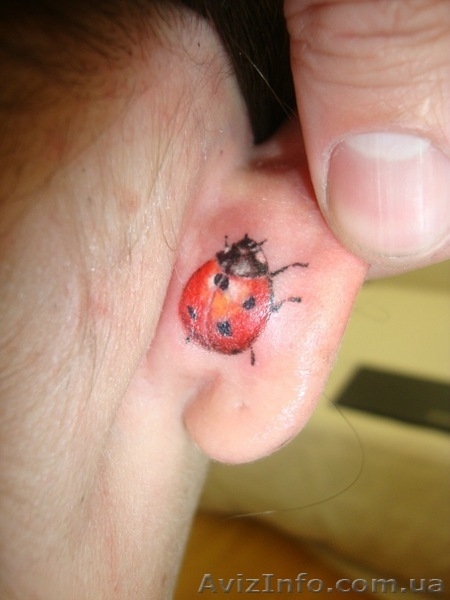 Обучение художественной татуировки. курсы художественной татуировки в киеве.  та - <ro>Изображение</ro><ru>Изображение</ru> #3, <ru>Объявление</ru> #650092