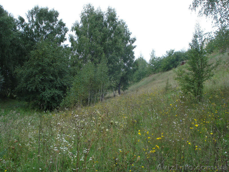 Продам/обменяю участок  - <ro>Изображение</ro><ru>Изображение</ru> #6, <ru>Объявление</ru> #700730