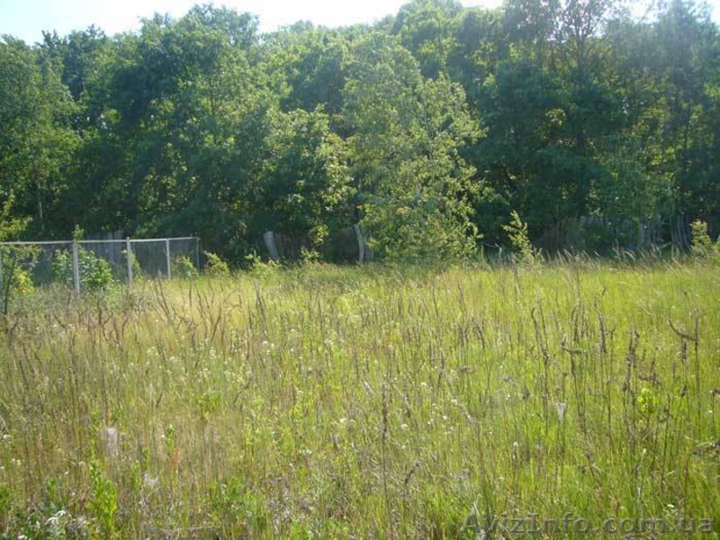Участок 6 сот. в 10 км. от Киева (Конча Заспа, Плюты)! - <ro>Изображение</ro><ru>Изображение</ru> #3, <ru>Объявление</ru> #700015