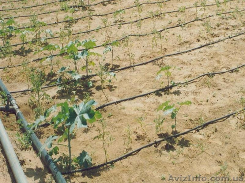 капельная лента  T&T Tape Lim - <ro>Изображение</ro><ru>Изображение</ru> #3, <ru>Объявление</ru> #677269