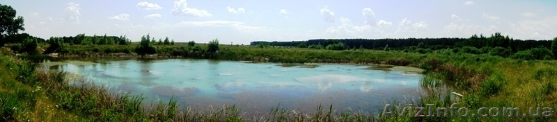 Продам 11га в Березовке Макаровский район - <ro>Изображение</ro><ru>Изображение</ru> #6, <ru>Объявление</ru> #687407