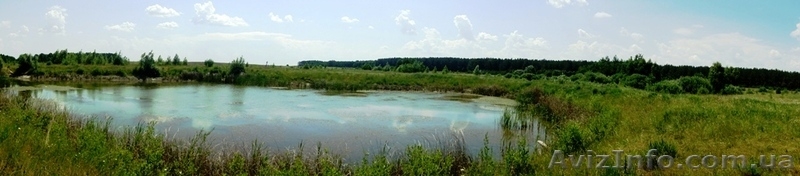 Продам 11га в Березовке Макаровский район - <ro>Изображение</ro><ru>Изображение</ru> #7, <ru>Объявление</ru> #687407