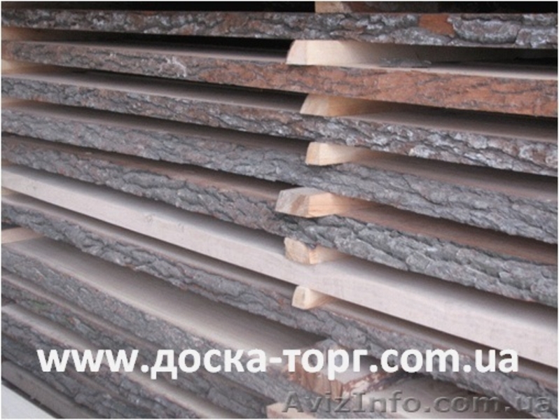 Доска необрезная  производство - <ro>Изображение</ro><ru>Изображение</ru> #1, <ru>Объявление</ru> #686341