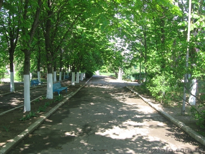 Отдыхаем на Черном море на базе отдыха ВОЛНА! - <ro>Изображение</ro><ru>Изображение</ru> #3, <ru>Объявление</ru> #686253