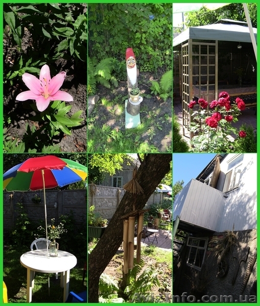 Здамо: Екологічно-оздоровча дача курортно-санітарного типу в Києві - <ro>Изображение</ro><ru>Изображение</ru> #5, <ru>Объявление</ru> #658076