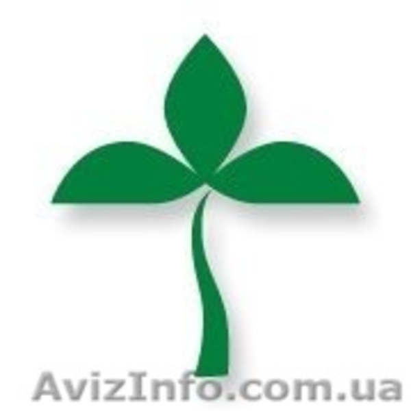 Страхование авто и не только - <ro>Изображение</ro><ru>Изображение</ru> #1, <ru>Объявление</ru> #698644