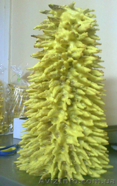 Продается новая установка тортов "Баумкухен"Шакотис., - <ro>Изображение</ro><ru>Изображение</ru> #4, <ru>Объявление</ru> #677796