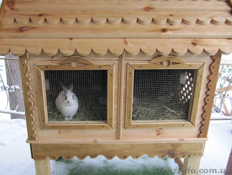 Клетка для декоративного кролика, кролика, зайчика, морской свинки.  - <ro>Изображение</ro><ru>Изображение</ru> #3, <ru>Объявление</ru> #705152