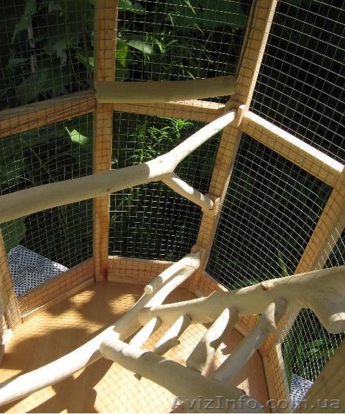 Эксклюзивная клетка для птиц. Оригинальная клетка для птиц. Деревянная клетка дл - <ro>Изображение</ro><ru>Изображение</ru> #5, <ru>Объявление</ru> #724575