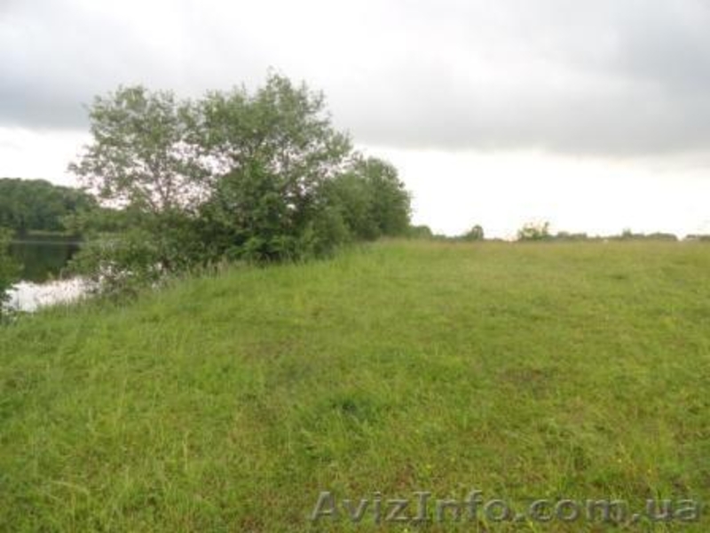 Земельный участок полуостров в Витебске - <ro>Изображение</ro><ru>Изображение</ru> #2, <ru>Объявление</ru> #718550