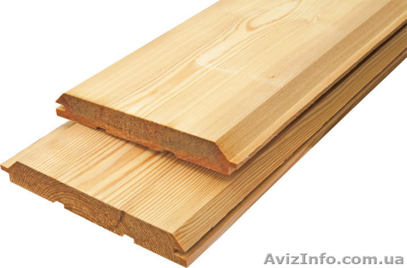 Сибирская лиственница Киев Украина - <ro>Изображение</ro><ru>Изображение</ru> #5, <ru>Объявление</ru> #153132