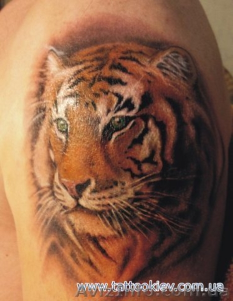 Татуировки Киев, салон тату Киев, сделать татуировку в Киеве фото - <ro>Изображение</ro><ru>Изображение</ru> #3, <ru>Объявление</ru> #714043