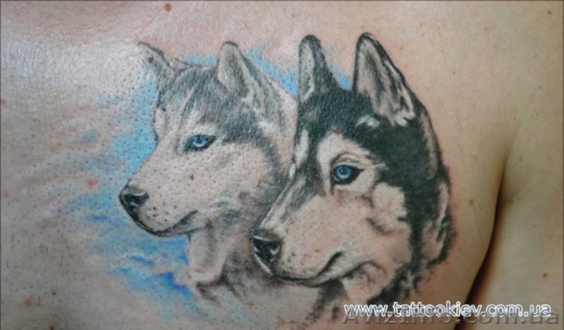 Татуировки Киев, салон тату Киев, сделать татуировку в Киеве фото - <ro>Изображение</ro><ru>Изображение</ru> #10, <ru>Объявление</ru> #714043