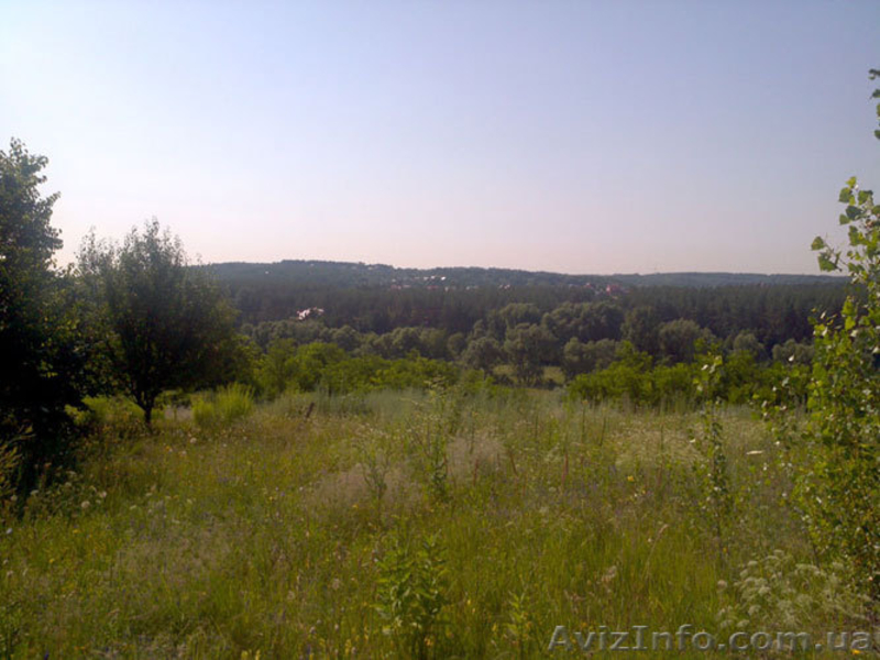 Продам участок под Киевом Ходосовка, купить земельный участок - <ro>Изображение</ro><ru>Изображение</ru> #1, <ru>Объявление</ru> #736253