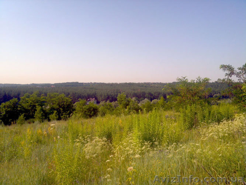 Продам участок под Киевом Ходосовка, купить земельный участок - <ro>Изображение</ro><ru>Изображение</ru> #2, <ru>Объявление</ru> #736253