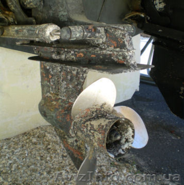 Продажа и обслуживание катеров и яхт - <ro>Изображение</ro><ru>Изображение</ru> #7, <ru>Объявление</ru> #748183