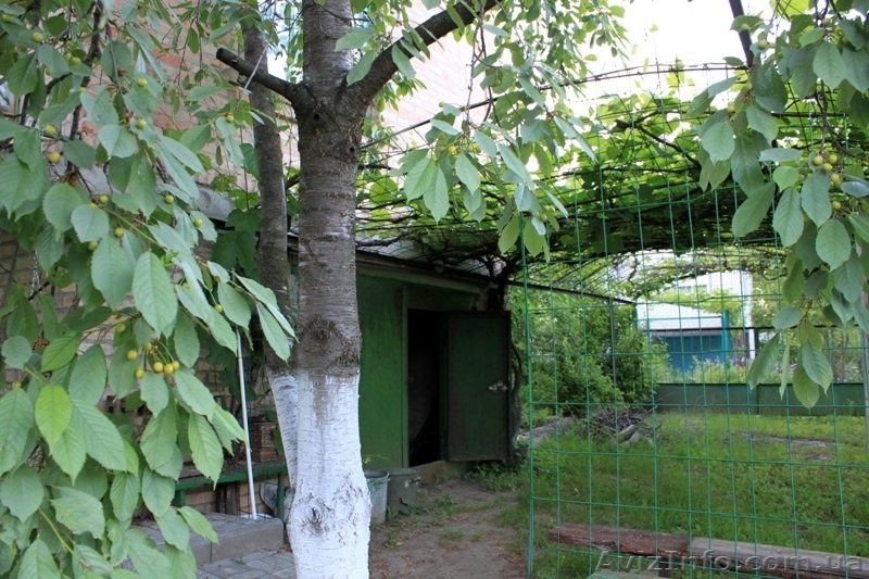 Уютная  дача для отдыха - <ro>Изображение</ro><ru>Изображение</ru> #9, <ru>Объявление</ru> #731838