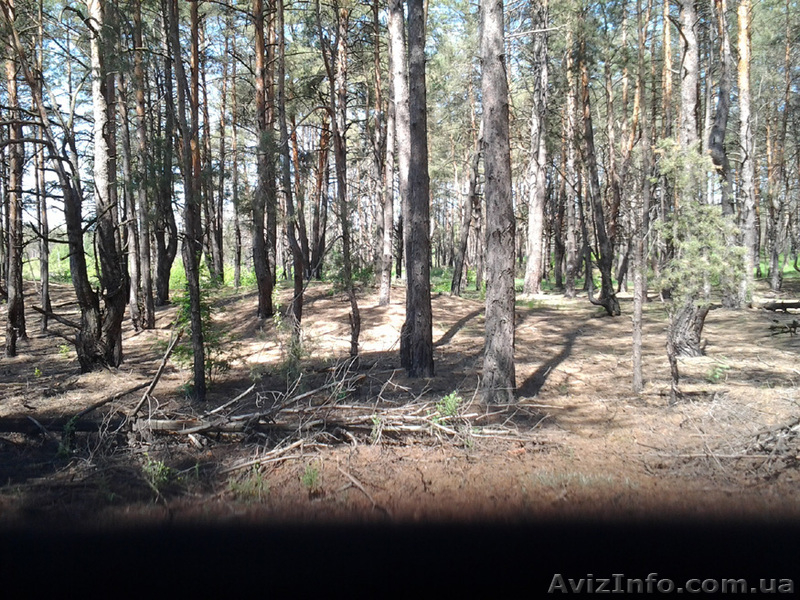 Быковня. Продам  фасадный  участок  10 соток под строительство - <ro>Изображение</ro><ru>Изображение</ru> #1, <ru>Объявление</ru> #754510