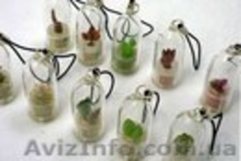 Региональный дистрибьютор - <ro>Изображение</ro><ru>Изображение</ru> #3, <ru>Объявление</ru> #759681