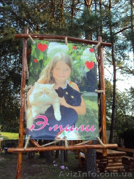 Детские площадки в Киеве,детские горки Киев купить,детские домики Киев. - <ro>Изображение</ro><ru>Изображение</ru> #3, <ru>Объявление</ru> #755268