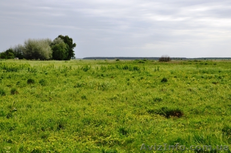 Продам участок под Киевом 8 соток - <ro>Изображение</ro><ru>Изображение</ru> #2, <ru>Объявление</ru> #757892